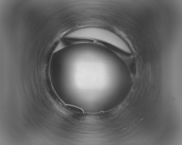 X0000082200154200702021853