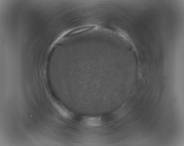 X0000082200155200702021853