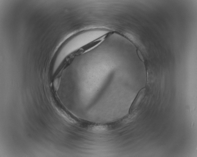 X0000082200156200702021853