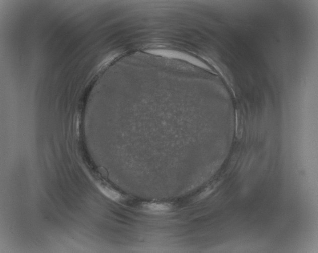 X0000082200157200702021853