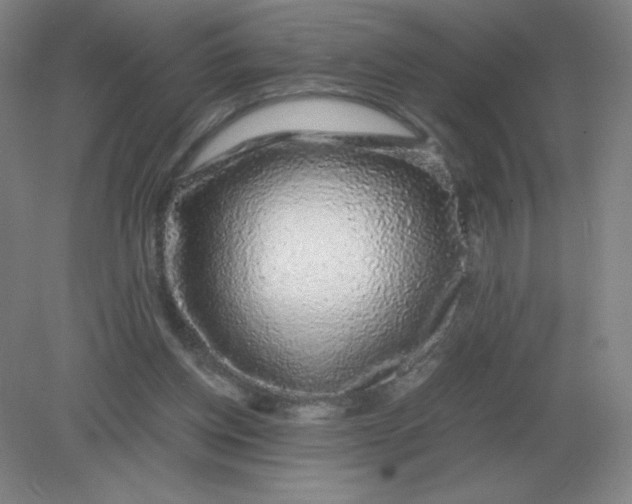 X0000082200158200702021853