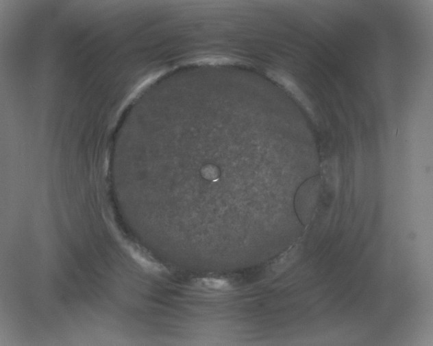 X0000082200159200702021853