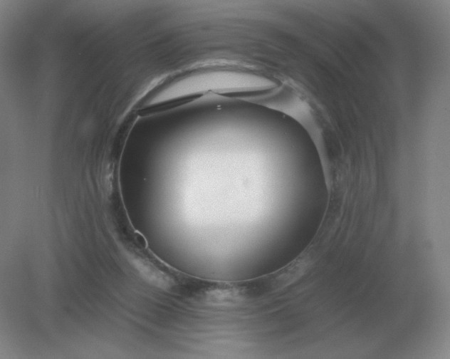 X0000082200160200702021853