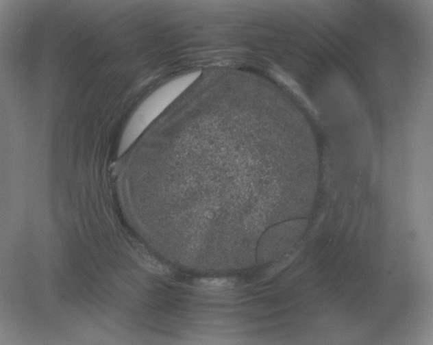 X0000082200161200702021853