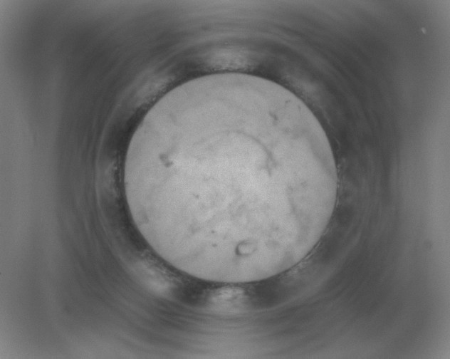 X0000082200162200702021853