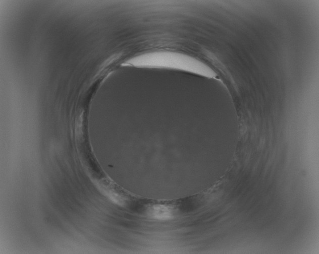 X0000082200163200702021853