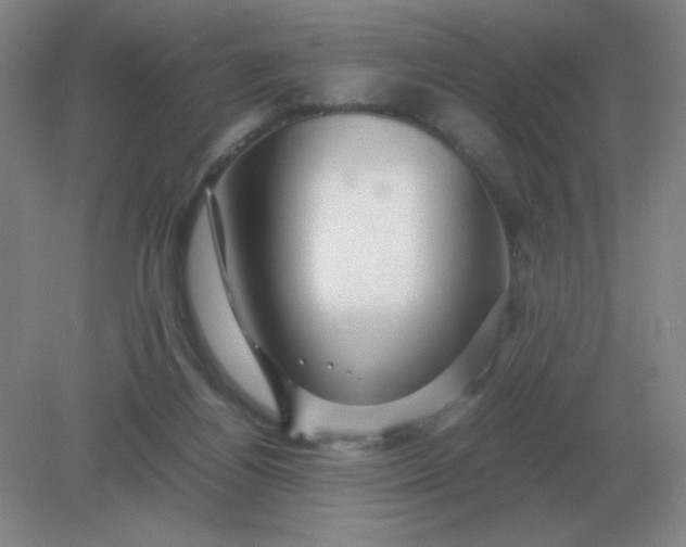 X0000082200164200702021853