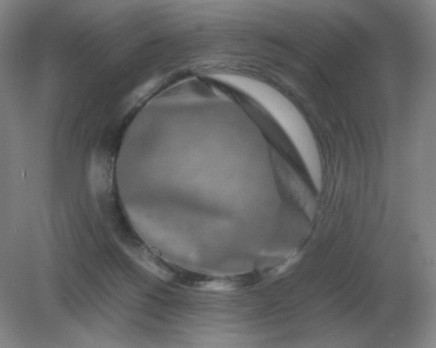 X0000082200168200702021853