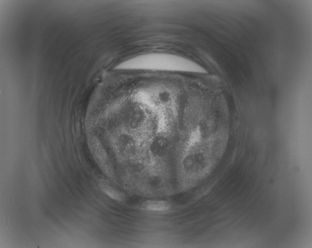 X0000082200169200702021853