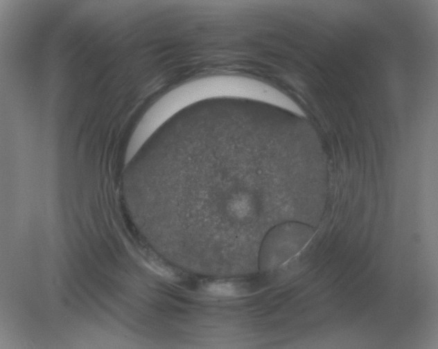 X0000082200171200702021853