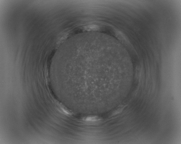 X0000082200173200702021853