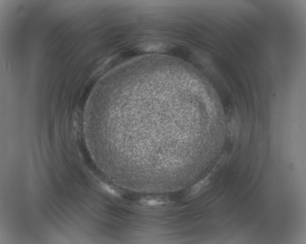 X0000082200175200702021853