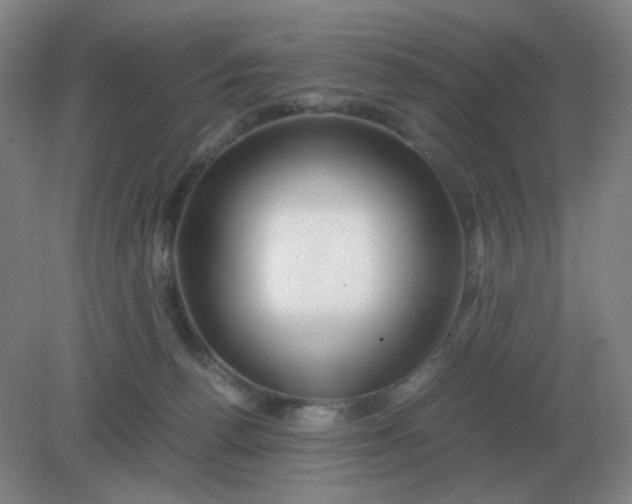 X0000082200176200702021853