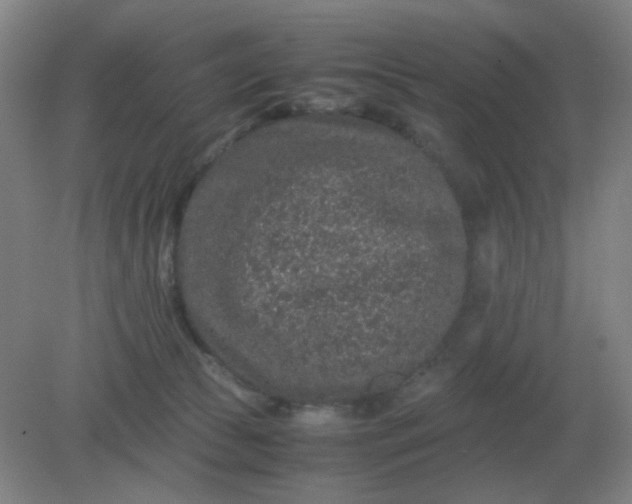 X0000082200177200702021853