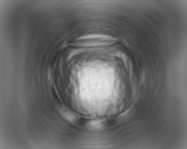 X0000082200178200702021853