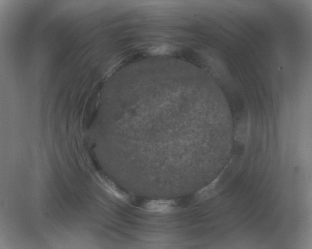 X0000082200179200702021853