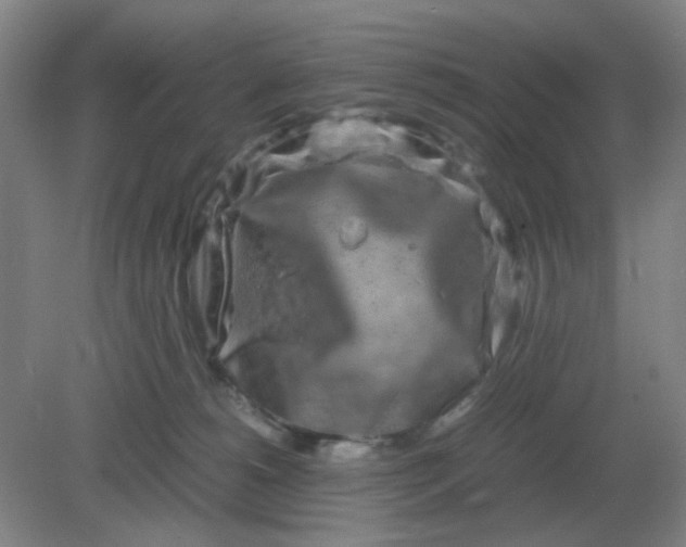 X0000082200180200702021853