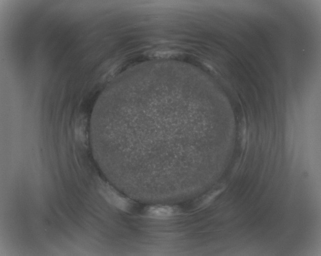 X0000082200181200702021853