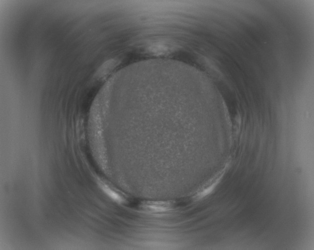 X0000082200182200702021853