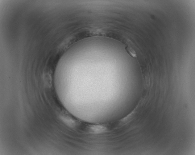 X0000082200183200702021853