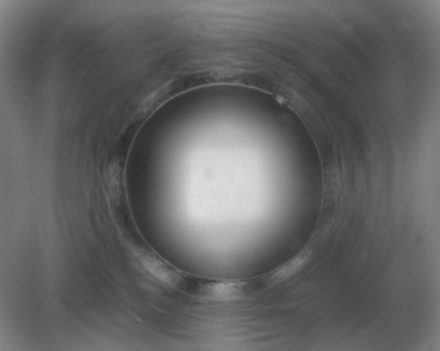 X0000082200184200702021853