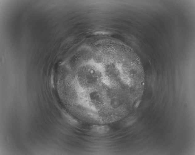 X0000082200185200702021854