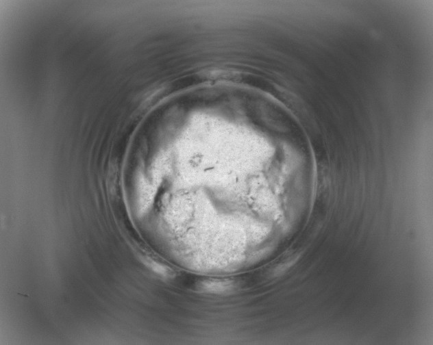 X0000082200189200702021854