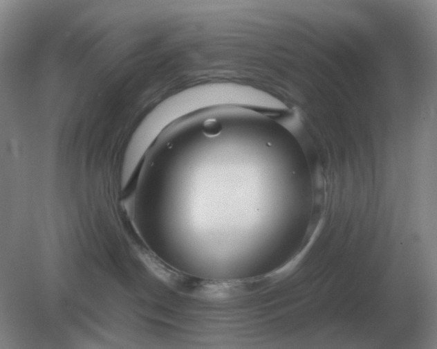 X0000082200190200702021854