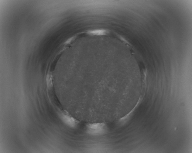 X0000082200191200702021854