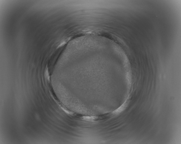 X0000082200192200702021854