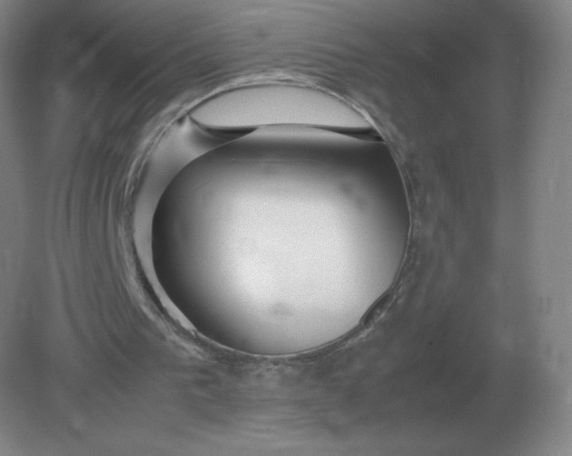 X0000082200193200702021853