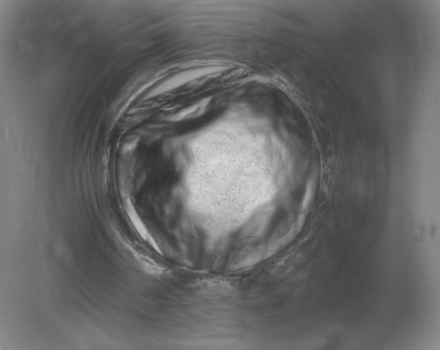 X0000082200194200702021853