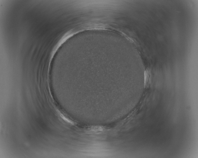 X0000082200195200702021853