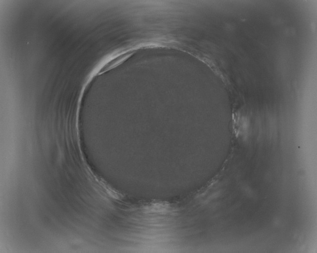 X0000082200196200702021853