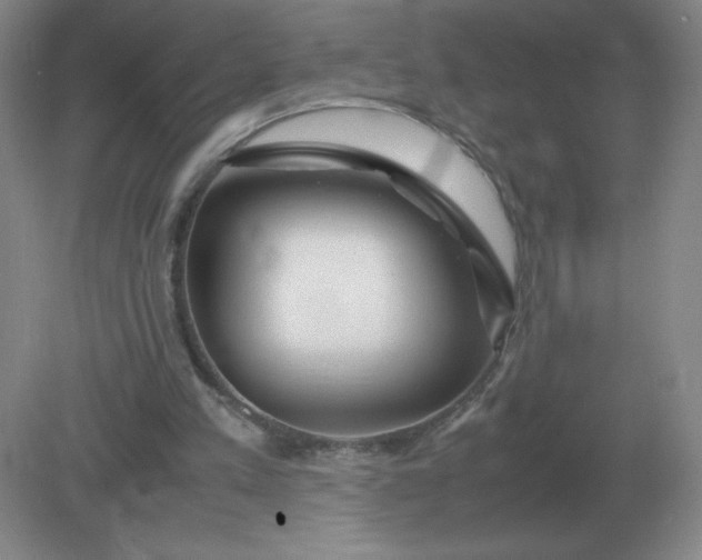 X0000082200197200702021853