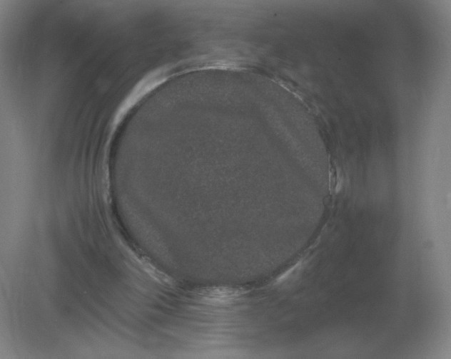 X0000082200198200702021853