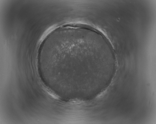 X0000082200199200702021853