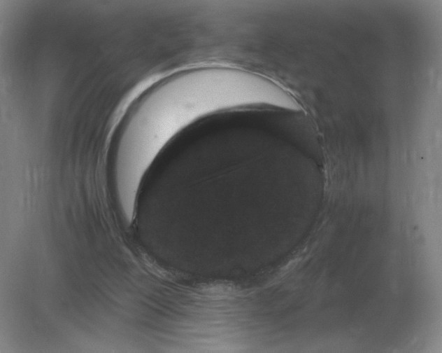 X0000082200200200702021853