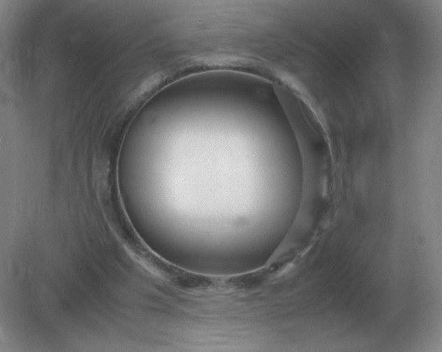 X0000082200201200702021853