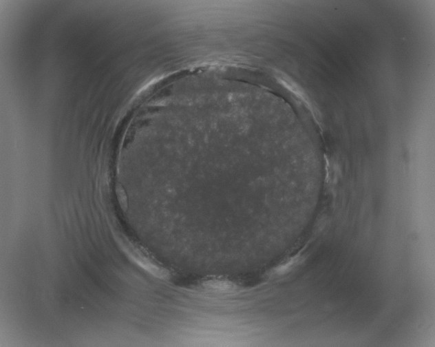 X0000082200203200702021853