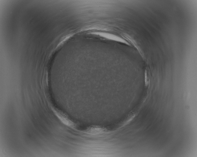 X0000082200205200702021853