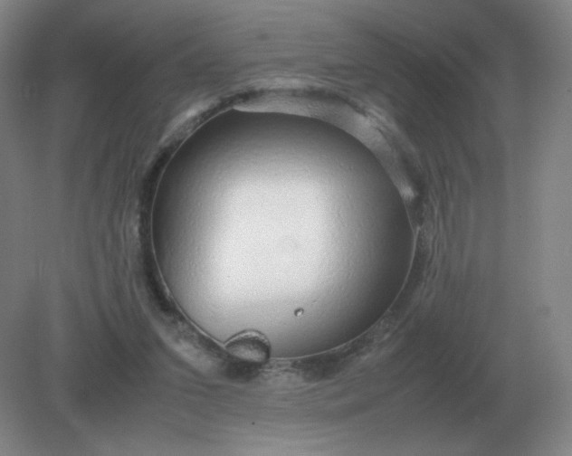 X0000082200207200702021853