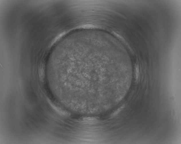 X0000082200208200702021853