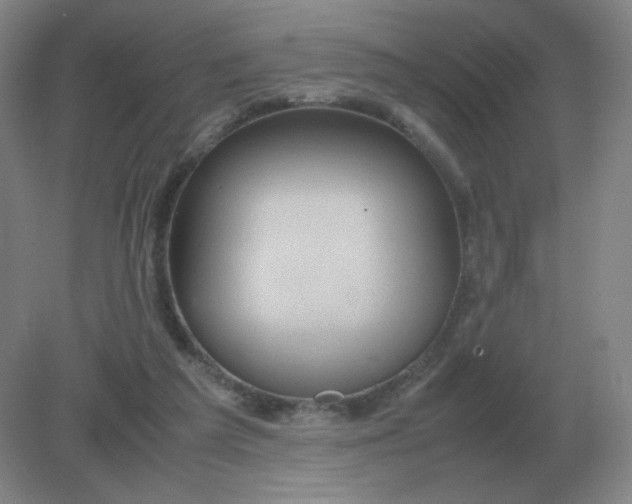 X0000082200209200702021853