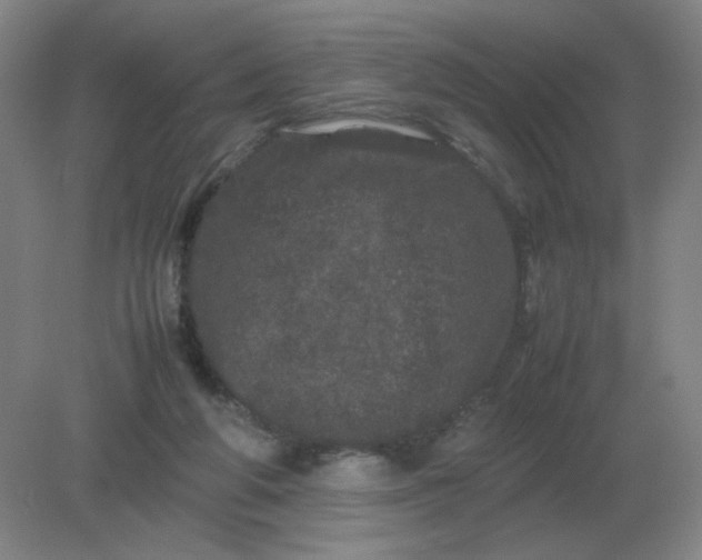 X0000082200210200702021853