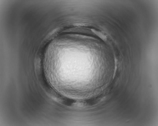 X0000082200211200702021853