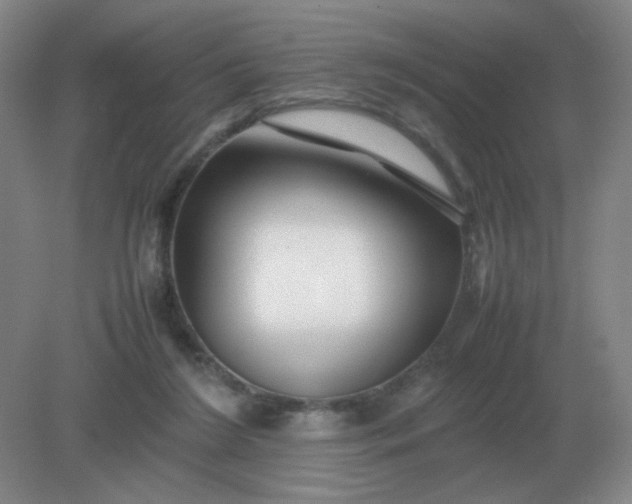 X0000082200212200702021852