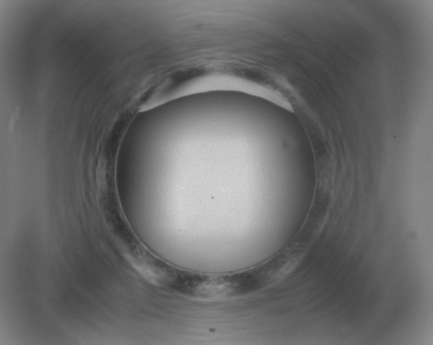 X0000082200213200702021852