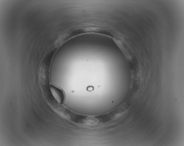 X0000082200215200702021852