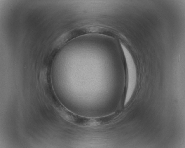 X0000082200217200702021852